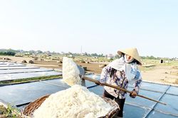 Mặn chát đời muối