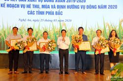An toàn, hiệu quả phải là ưu tiên hàng đầu trong sản xuất hè thu - mùa 2020