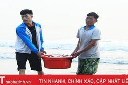 Hà Tĩnh quyết tâm đạt 18.500 tấn hải sản vụ cá Nam