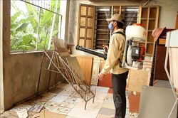 Quảng Bình ghi nhận trên 1.100 bệnh nhân sốt xuất huyết
