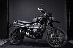 2020 Triumph Scrambler 1200 Bond Edition đẹp tuyệt: Siêu phẩm bước ra từ thước phim James Bond