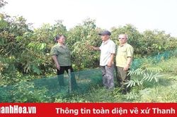 Cựu thanh niên tình nguyện Trịnh Văn Toàn làm kinh tế giỏi