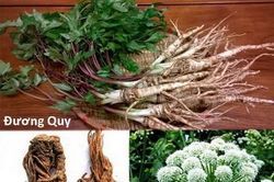Thảo mộc hỗ trợ điều trị trầm cảm