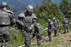 UNC: Hàn Quốc, Triều Tiên vi phạm lệnh đình chiến khi nã súng ở DMZ