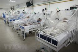 Brazil lần đầu có số ca tử vong vì COVID-19 trong ngày cao hơn Mỹ