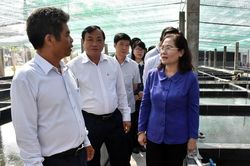 TP Hồ Chí Minh tăng cường hỗ trợ thúc đẩy nông nghiệp đô thị