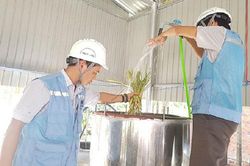 Quảng Nam: Mô hình 'Nông dược xanh' của chàng thạc sĩ đa tài