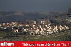 Palestine không coi Mỹ là trung gian hòa giải xung đột với Israel