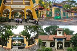 Vụ cây đổ khiến học sinh tử vong: Nguy cơ tiềm ẩn từ cây tuổi đời lâu năm tại các trường
