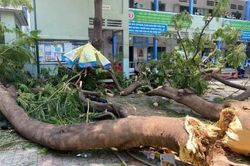 Liên tiếp những vụ tai nạn thương tâm: Cảnh báo an toàn trường học!