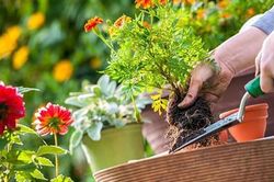 Bạn có đang góp phần gieo trồng thứ gì đáng để gặt hái bởi người khác không?