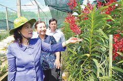 Gỡ vướng về xây dựng công trình phụ trợ phục vụ nông nghiệp