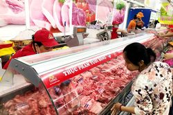 Giá lợn hơi lập đỉnh mới, lợn thành phẩm đắt chưa từng có