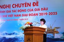 Tư vấn xây dựng Chiến lược cho Tập đoàn Dầu khí Việt Nam