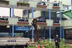 Trường Bạch Đằng cắt hết cây sau sự cố phượng đổ đè 18 học sinh