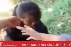Vào cuộc xử lý 5 nữ sinh đánh 'hội đồng' bạn học khác trường ở Hà Tĩnh