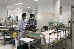 Vụ cây phượng bật gốc: Sức khỏe các học sinh bị thương tiến triển tốt