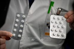 Pháp cấm sử dụng thuốc hydroxychloroquine trong điều trị COVID-19