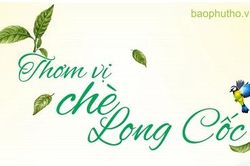Thơm vị chè Long Cốc
