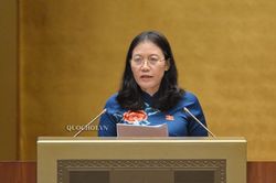 Công tác bảo vệ trẻ em trên môi trường mạng chưa đáp ứng yêu cầu