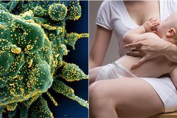 Chuyên gia Nga: Protein sữa mẹ có thể là 'chìa khóa' trong cuộc chiến chống COVID-19