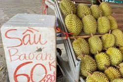 Hoa quả siêu rẻ tràn vỉa hè Hà Nội