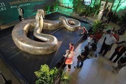 Điểm mặt những sinh vật khổng lồ đe dọa sự sống con người trên Trái Đất