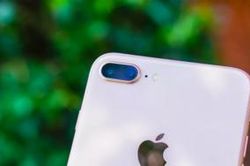 Giá bán 'iPhone quốc dân' giảm về mức chạm đáy ở Việt Nam