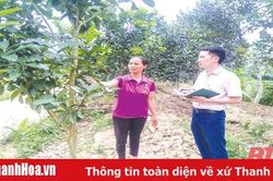Hiệu quả hoạt động của các điểm giao dịch xã