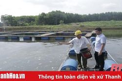 Nhiều khó khăn trong phát triển nuôi trồng thủy sản nước ngọt