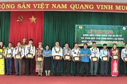 46 cá nhân được tặng danh hiệu 'Công nhân cao su ưu tú'