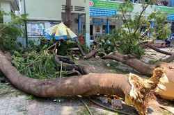 Tai họa không muốn và muốn không tai họa