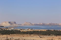 Ốc đảo Siwa - hòn ngọc xanh giữa sa mạc Sahara