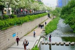 Dịch bệnh Covid-19 khó lường, nhiều nước tái áp đặt các biện pháp phòng, chống