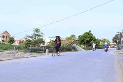 Cơ cấu lại ngành nông nghiệp gắn với xây dựng nông thôn mới