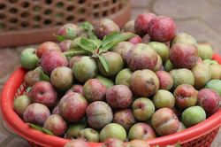Ăn mận ai cũng thích nhưng trước khi ăn phải lưu ý những tác dụng phụ khó ngờ này