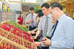 Xuất siêu 3,3 tỷ USD, nông sản tiếp tục 'khai hoang' thị trường mới