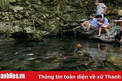 Du lịch miền Tây xứ Thanh: Dòng suối ngầm và đàn 'cá thần' linh thiêng