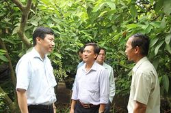 Phó Chủ tịch UBND tỉnh Đồng Tháp Phạm Thiện Nghĩa làm việc tại huyện Lai Vung
