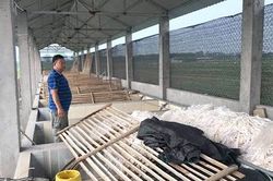 Cần làm rõ hành vi lừa đảo nông dân!