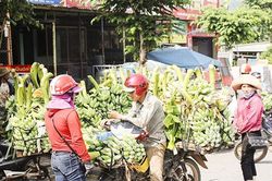 Nâng cao năng lực lãnh đạo của cấp ủy đảng, xây dựng Tân Long thành xã nông thôn mới kiểu mẫu