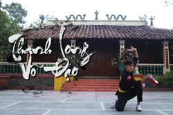 Môn võ Việt truyền bá trên 10 quốc gia