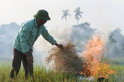 Mù mịt khói đốt rơm rạ 'bủa vây' đường quốc lộ