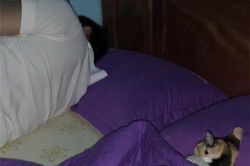 Đuổi chồng sang phòng khác ngủ, nửa đêm tỉnh dậy vợ sững sờ phát hiện 'kẻ thứ ba' đang say sưa bên chồng
