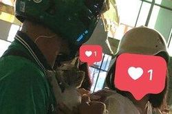 Chàng trai chạy Grab ôm bé mèo con bị bỏ rơi đi khắp phố tìm người nhận nuôi khiến nhiều người cảm động