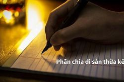 Em vợ được quyền yêu cầu chia di sản thừa kế của vợ?