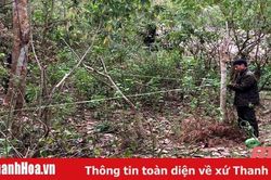 Ngăn chặn và đẩy lùi suy thoái đa dạng sinh học bởi các loài động thực vật xâm lấn ở Khu Bảo tồn thiên nhiên Pù Hu