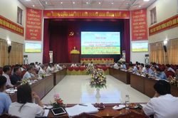Ứng Hòa bàn hướng phát triển sản xuất nông nghiệp hiệu quả, bền vững