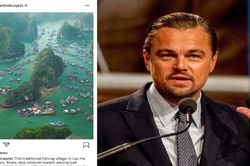 Leonardo DiCaprio kêu gọi bảo vệ môi trường ở vịnh Lan Hạ