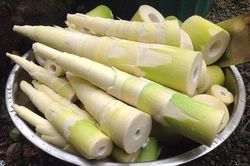 Cách chọn măng tươi ngon, không ngâm hóa chất